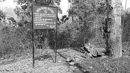Despite preventive steps, fire continues to raze in Similipal