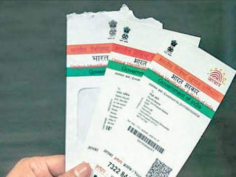Badole said the government has issued instructions in this connection to district authorities. (File)