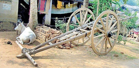 A Bullock cart