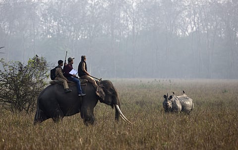 Human-wildlife conflicts are increasing in Himachal Pradesh, with Asiatic black bears and leopards being major contributors.