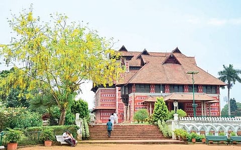 Napier Museum