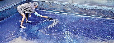 Live and let dye
