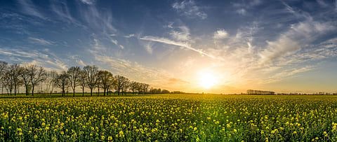 Spring is arriving earlier in polar regions than anywhere else