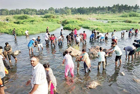 More than 500 volunteers participated in the cleanliness drive of river Cauvery this month