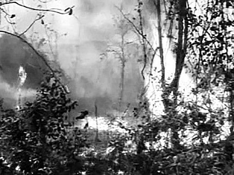 Odisha: Honey lure leads to Barunei forest fire