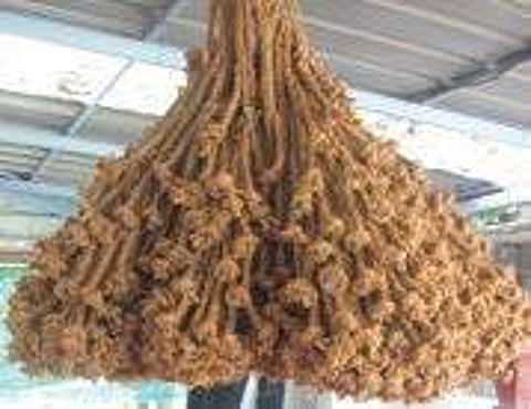 Knot the statement