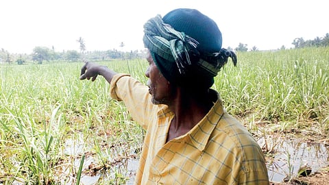 Image used for representational purpose