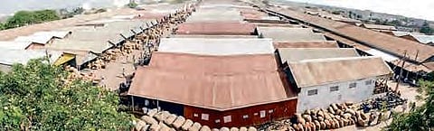 Asia’s biggest chilli yard in Guntur district of Andhra Pradesh under vigilance scanner