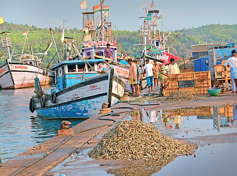 Kerala: In Karwar, fisherfolk to ship out airy netas
