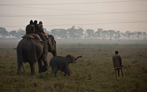 Image used for representational purpose only (File Photo | AP)