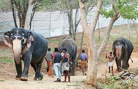 Image used for representational purpose. (Express File Photo)