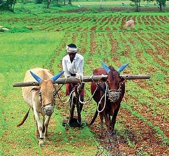 Rythu Bandhu: Telangana government needs to mobilise Rs 5,800 crore in 2 months