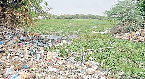 Maqta Mahboobpet lake choked with garbage at Miyapur | R Satish Babu