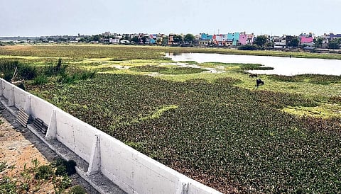 Compound wall built by the Chennai Corporation on the Mathur lake without clearing illegal buildings | Martin Louis