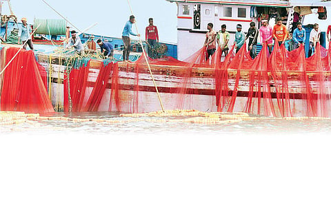 Fishermen on Purse Seine boat in action, mid-sea; (below) fishermen Poondi, Dinesh, John Paul and Ashton in Mangaluru