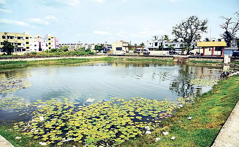 The Gangai Amman Koil Kulam in Sholinganallur is among waterbodies to be restored | Martin Louis