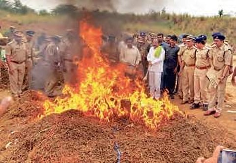 Excise Minister KS Jawahar sets seized dry ganja on fire in Rajamahendravaram rural | EXPRESS