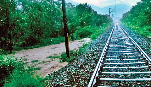 The ramps (concrete sloppy surfaces) provided between the Walayar and Madukkarai stretch on the Kerala-Tamil Nadu border for wild elephants to move easily from the tracks and for improving visibility
