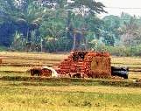 Illegal brick kilns add to summer woes of Cuttack denizens