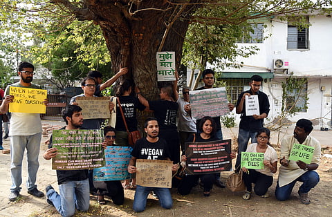 The government’s controversial redevelopment plan for South Delhi has hit a hurdle with locals in large numbers recreating the 1970s’ ‘Chipko Movement’ on Sunday in an attempt to stop more than 16,000 fully-grown trees from being cut to make way for gover