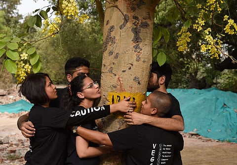People hug a tree at Sarojini Nagar to protest against the proposed felling of around 16,500 trees in south Delhi, on Sunday, 24 June 2018. (EPS | Parveen Negi)