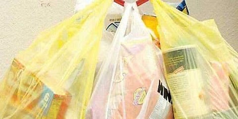 PTI file image of a plastic bag used for representational purpose only