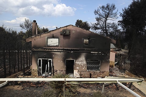 The death toll has risen to 79 in Greece Wildfires. (Photo | AP)