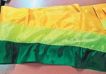 The North Karnataka flag designed by Uttara Karnataka Horata Samiti