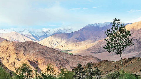 Image used for representational purpose.