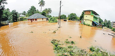 Many houses on the banks of Kabani river near Panamaram, Wayanad, have been lying partially submerged for several days | Express