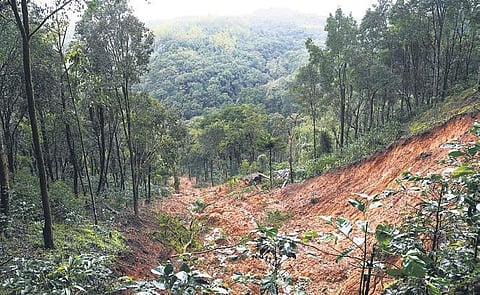 Landslide at Sitharam Patti near Kalur village in Kodagu | Pushkar V