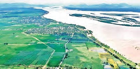 4,500 hectares of crop in East Godavari district submerged in floodwater