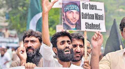 Post Wani killing, educated youth drift towards militancy