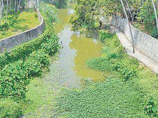 Killiyar river at Maruthamkuzhi stretch B P Deepu