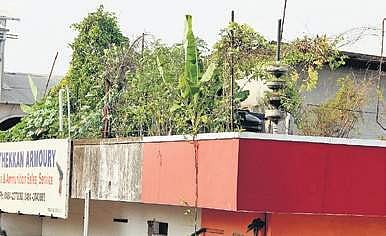 Expert Subhash Palekar questions push for Israel farming model