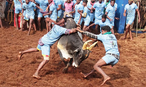 Representative Image.