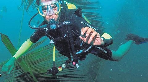 Recreational and occupational diving turning popular in Kochi