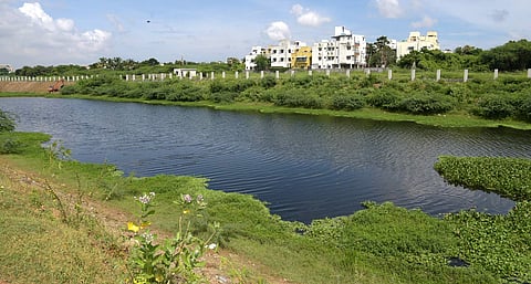 (Around 6.5 acres which are up for reclassification are less than 100 m to the Adyar River in Nandambakkam |Pix- Martin Louis)