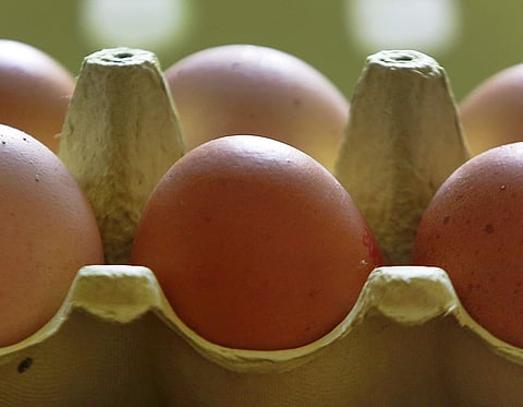 Image of eggs used for representational purposes only. (Photo | AP)