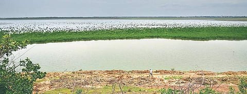 Ambattur doesn’t get piped water supply since January | P. JAWAHAR