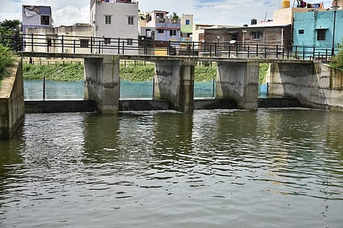 Localities flooded by surplus water of Parthipattu lake. (Photo| P Jawahar/ EPS)