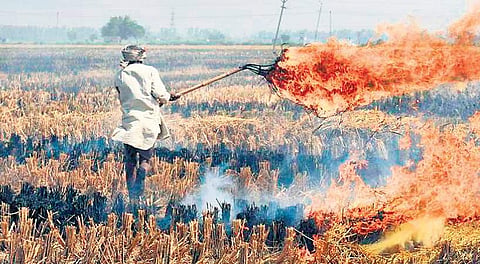 For representational purposes. (File photo)