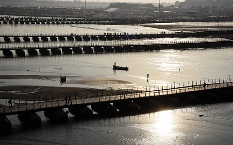 Miffed NGT slaps Rs 280 crore fine on 22 Kanpur tanneries in UP for dumping chromium in Ganga