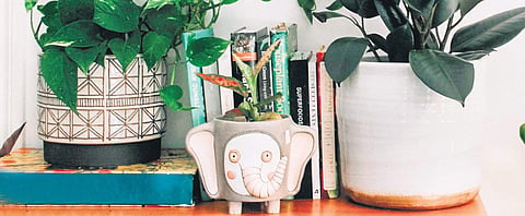 Keeping the air fresh with flora