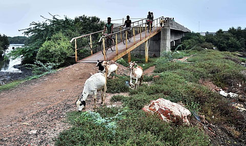 The bridge constructed on Kosasthaliyar River connecting Sadayankuppam to Manali High Road at Thiruvottiyur has been abandoned halfway for the past eight years, in Chennai (Photo: P Jawahar)