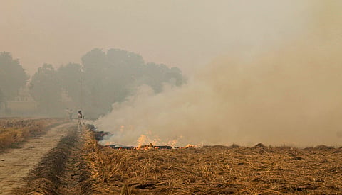 Patiala Stubble burning at a field near Patiala Saturday. (Photo | PTI)