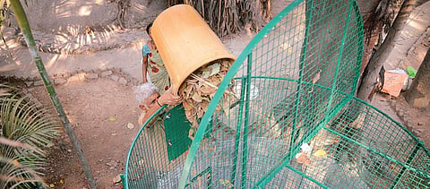 An employee at temple seen dumping dry waste into the bin Pushkar V