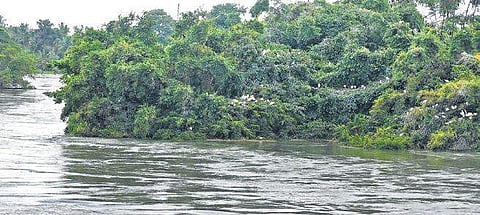 Groundwater level rises in Mysuru, thanks to heavy rain