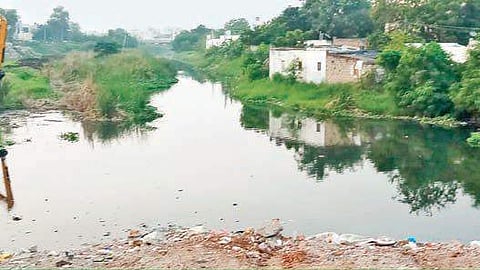 VMC has taken up an initiative to develop greenery adjacent to canal bunds of Budameru | Express