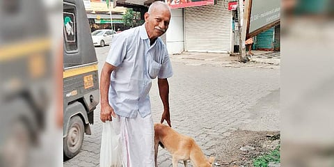 Nobody has complained of dog bites where the strays get food to eat, says Antony (Photo | EPS)